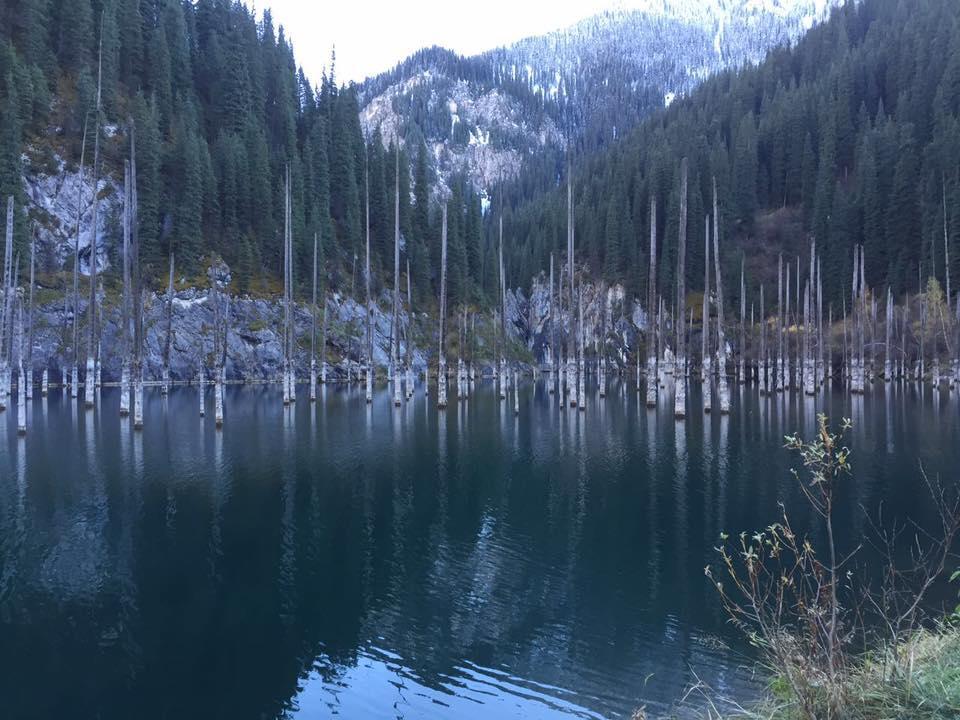 Almaty Backpackersホステル エクステリア 写真
